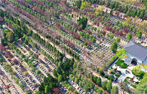 西安市霸陵墓園價格多少錢