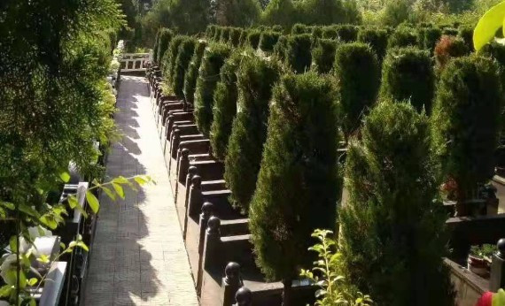 西安戶縣（鄠邑區(qū)）有幾個墓園？