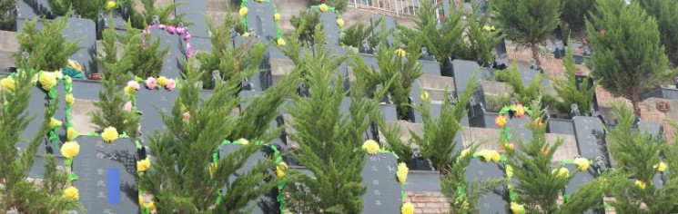 西安墓園年限-西安墓園年限：了解西安墓地使用年限及政策變化！