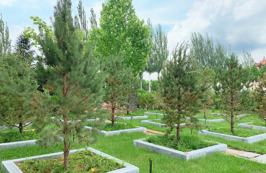 西安霸陵墓園具體價(jià)格 - 西安墓地價(jià)格