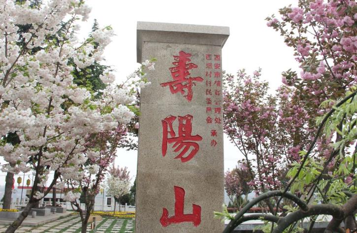 西安鯨魚溝壽陽(yáng)山圖片，壽陽(yáng)山公墓