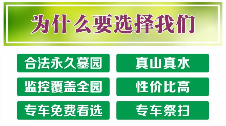 西安鯨魚溝壽陽(yáng)山圖片，壽陽(yáng)山公墓