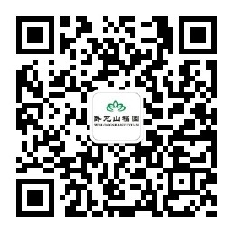 臥龍山福園公眾號(hào)-預(yù)約、祭奠、代客祭掃